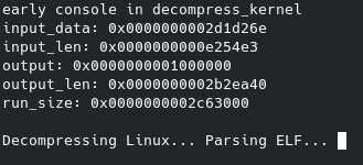 árbitro microscópico aspecto Linux Kernel stuck in QEMU: Decompressing Linux… Parsing ELF… forever -  Víctor Colombo